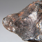 Genuine Sikhote Alin Meteorite // 76.5g