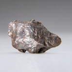 Genuine Sikhote Alin Meteorite // 76.5g