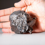Genuine Sikhote Alin Meteorite // 1.4lb