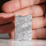 Genuine Natural Muonionalusta Meteorite Slice
