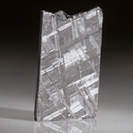 Genuine Natural Muonionalusta Meteorite Slice