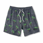 Breeze Swim Shorts // Gray (L)