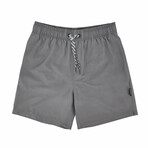 Barbados Swim Shorts // Gray (L)