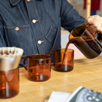 Tea and Coffee Brewing Set // Frosted Glass