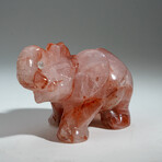Genuine Polished Strawberry Quartz Elephant Carving