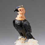 Genuine Polished Black Onyx Carved Bird on Clear Quartz Matrix