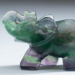 Genuine Polished Rainbow Fluorite Elephant Carving // 168g