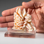 Genuine Angel Skin Coral Hand Carving Rose