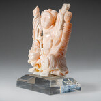 Genuine Angel Skin Coral Hand Carving Rose and Immortals