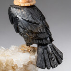 Genuine Polished Black Onyx Carved Bird on Clear Quartz Matrix