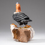 Genuine Polished Black Onyx Carved Bird on Citrine Quartz Matrix // 415.3g