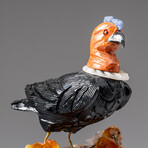Genuine Polished Black Onyx Carved Bird on Citrine Quartz Matrix // 415.3g