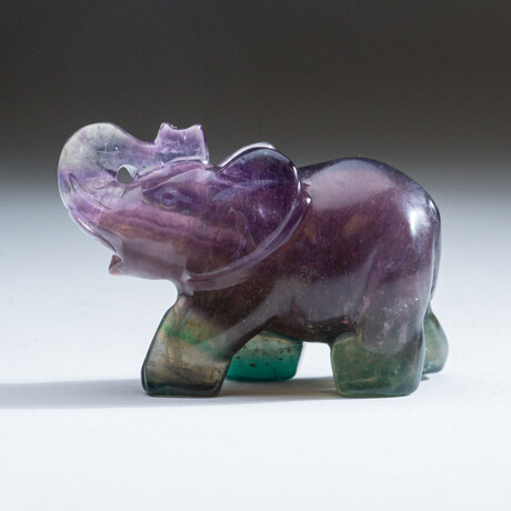 Genuine Polished Rainbow Fluorite Elephant Carving //  194.5g