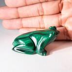 Genuine Polished Malachite Frog Carving