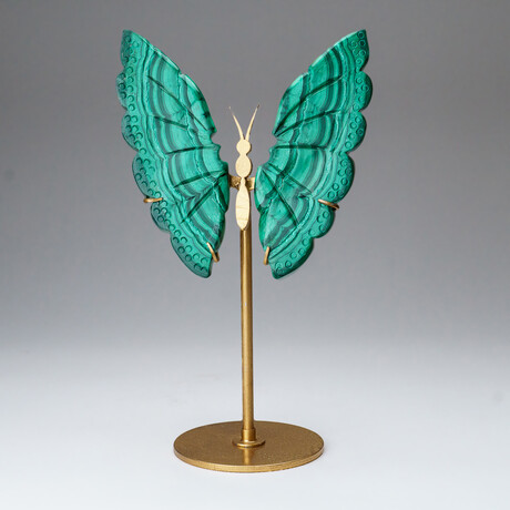 Genuine Polished Malachite Butterfly Wings on Custom Stand