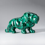 Genuine Polished Malachite Lion Carving // 316.3 g