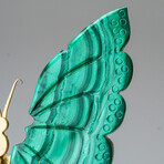 Genuine Polished Malachite Butterfly Wings on Custom Stand