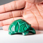 Genuine Polished Malachite Turtle Carving // 150 g
