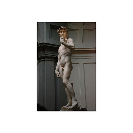 David Print on Acrylic Glass // Michelangelo (16"W x 24"H x 0.25"D)