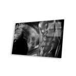 Black Horse II Print on Acrylic Glass // Mark Ashkenazi (24"W x 16"H x 0.25"D)