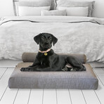 Bella True Orthopedic Dog Bed // Charcoal