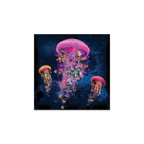 Electric Jellyfish World Pink Print on Acrylic Glass // David Loblaw (24"W x 24"H x 0.25"D)