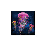 Electric Jellyfish World Pink Print on Acrylic Glass // David Loblaw (24"W x 24"H x 0.25"D)