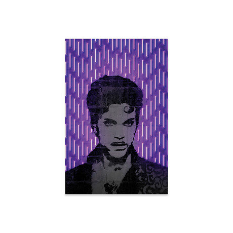 Prince Print // Octavian Mielu (16"H x 24"W x 0.25"D)