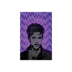 Prince Print // Octavian Mielu (16"H x 24"W x 0.25"D)