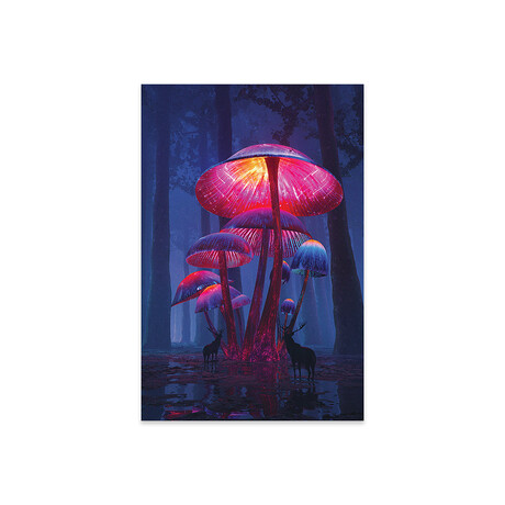 The Magic Shrooms Print on Acrylic Glass // Davansh Atry (16"W x 24"H x 0.25"D)