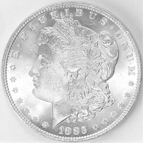 1885 P Morgan Dollar Brilliant Uncirculated Roll