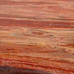 Genuine Polished Petrified Wood Table