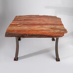 Genuine Polished Petrified Wood Table