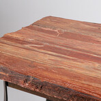 Genuine Polished Petrified Wood Table