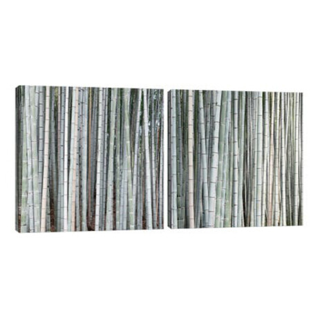Bamboos Diptych // Philippe Hugonnard (20"L x 40"W x 1.5"H)