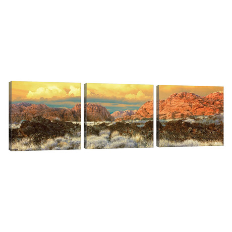 Snow Canyon State Park II, Washington County, Utah, USA // Panoramic Images (20"L x 60"W x 1.5"H)