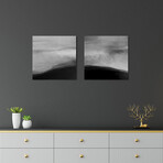 Moonlight Diptych // Dan Meneely (20"L x 40"W x 1.5"H)