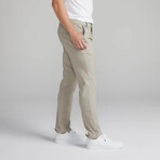 TRUE All Day Chino // Lunar (28WX32L)
