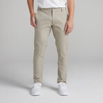TRUE All Day Chino // Lunar (28WX32L)