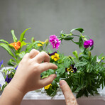 aspara® Stylist Lite Smart Grower Bundle + DIY Experimental Kit