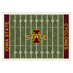 Iowa State University // Homefield Rug