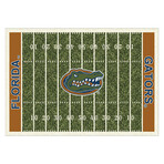 University Of Florida // Homefield Rug