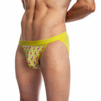 Tanga Cut Swim Brief // Flamingo Print (L)