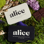 Mushroom Chocolate Double Duo // Brainstorm + Nightcap