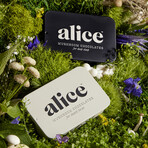 Mushroom Chocolate Double Duo // Brainstorm + Nightcap