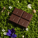 Mushroom Chocolate Double Duo // Brainstorm + Nightcap