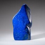 Genuine Polished Lapis Lazuli Freeform // 5.3lb