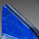 Genuine Polished Lapis Lazuli Freeform // 6.8lb