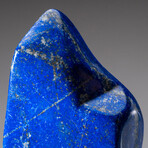 Genuine Polished Lapis Lazuli Freeform // 5.3lb