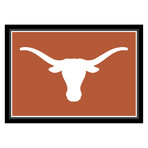 University of Texas // Team Spirit Rug
